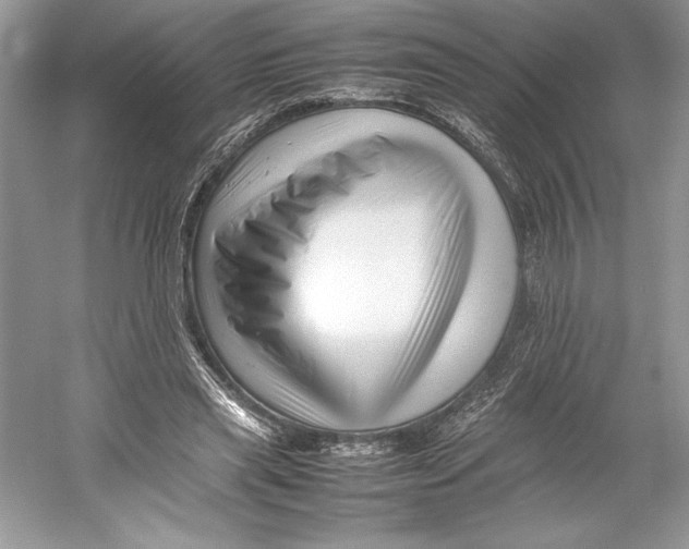 X0000052950445200508050926