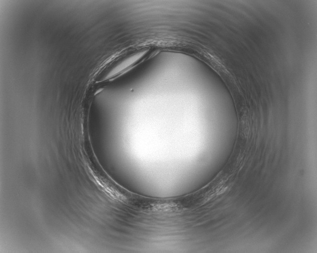 X0000052950446200508050926