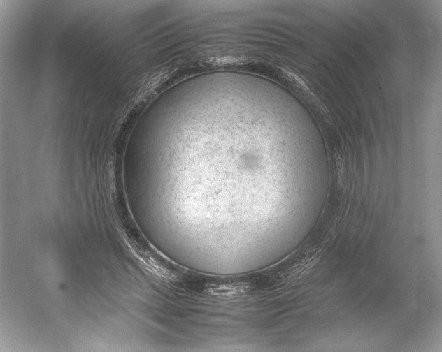 X0000052950447200508050926