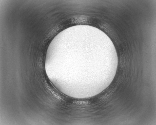 X0000052950449200508050926