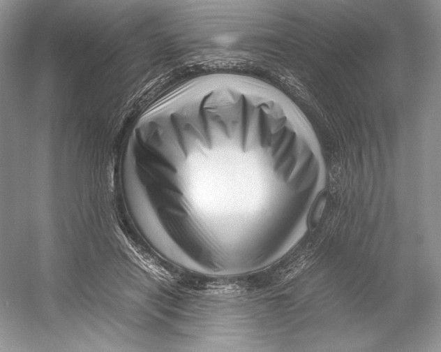 X0000052950454200508050926