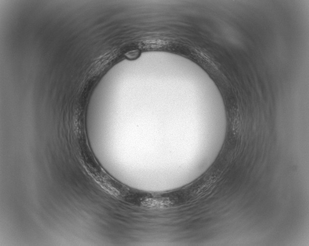 X0000052950455200508050926