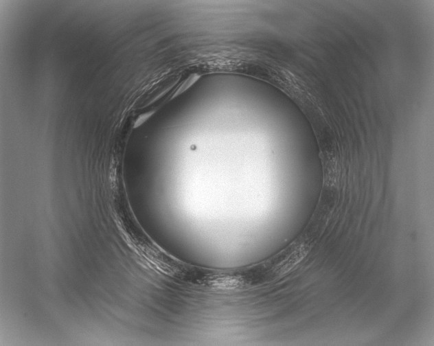 X0000052950456200508050926