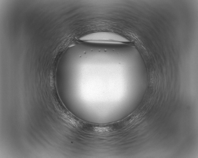 X0000052950457200508050926