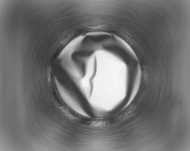 X0000052950458200508050926