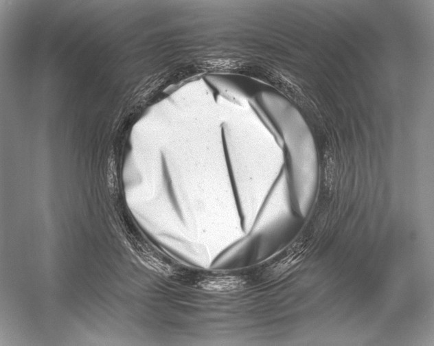 X0000052950459200508050926