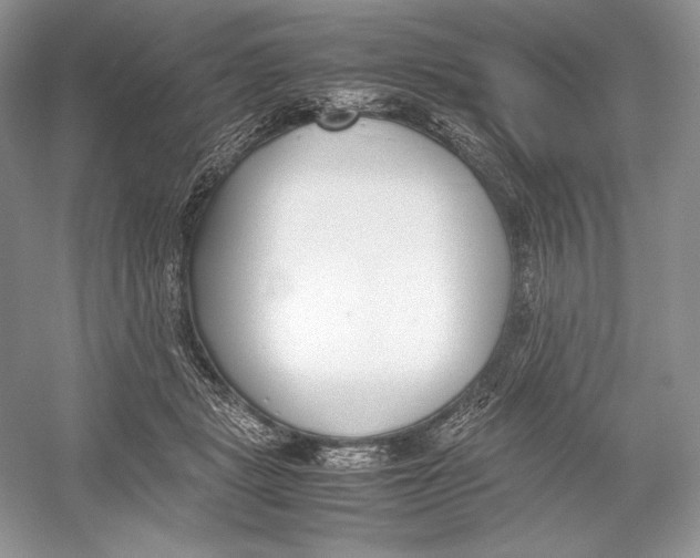 X0000052950461200508050926