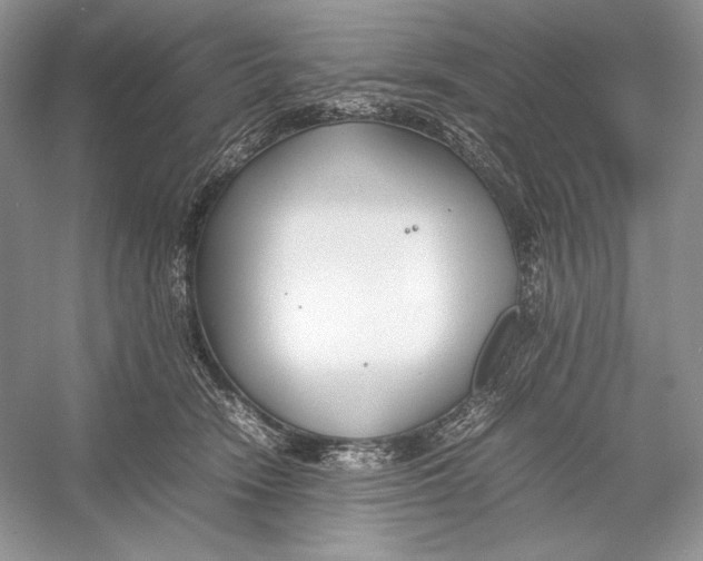 X0000052950466200508050927