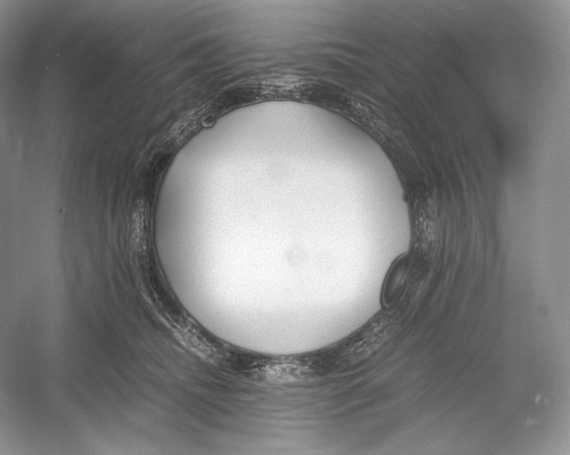 X0000052950468200508050927