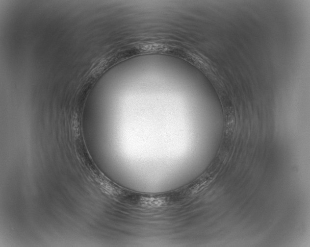 X0000052950469200508050927