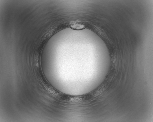 X0000052950470200508050927