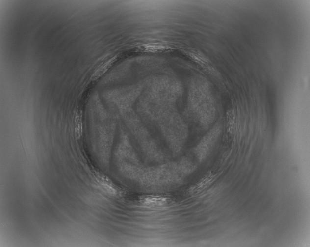 X0000052950471200508050927