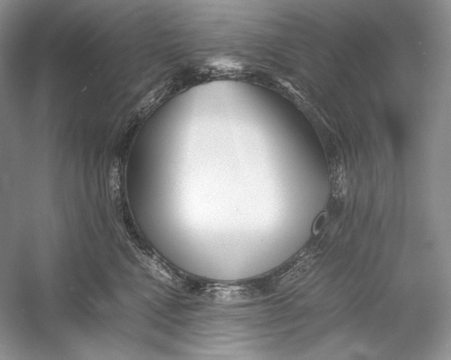 X0000052950472200508050927