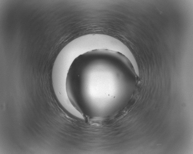 X0000052950475200508050927