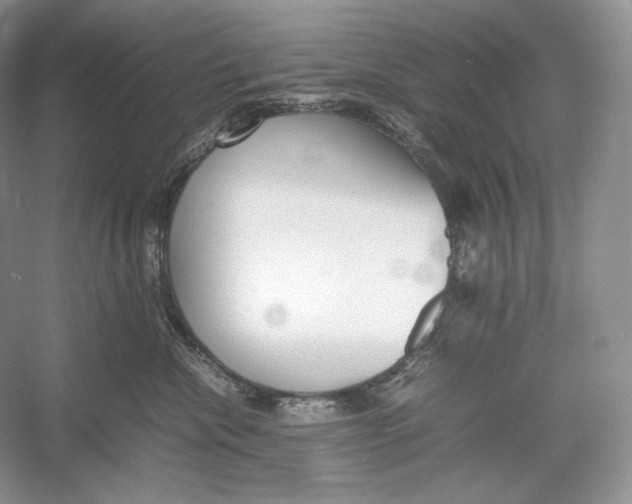 X0000052950476200508050927