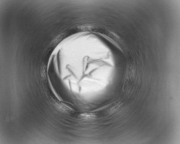 X0000052950477200508050927