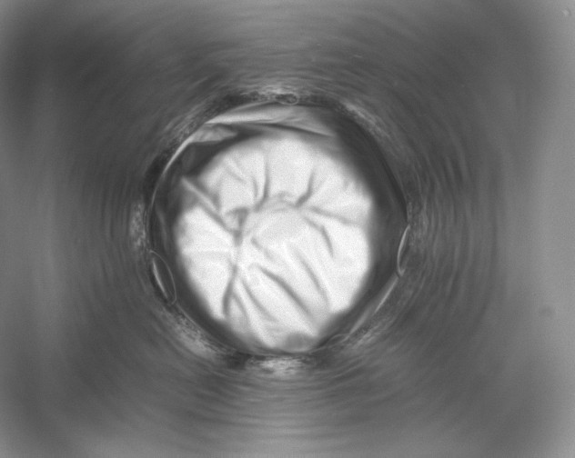 X0000052950478200508050927