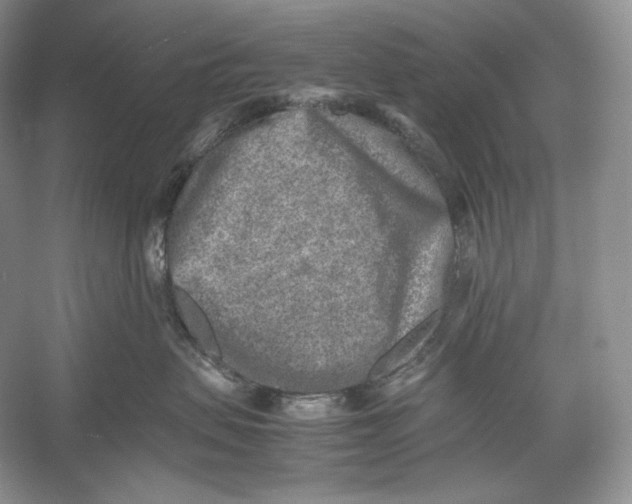 X0000052950479200508050927