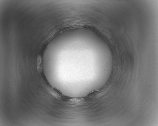 X0000052950480200508050927