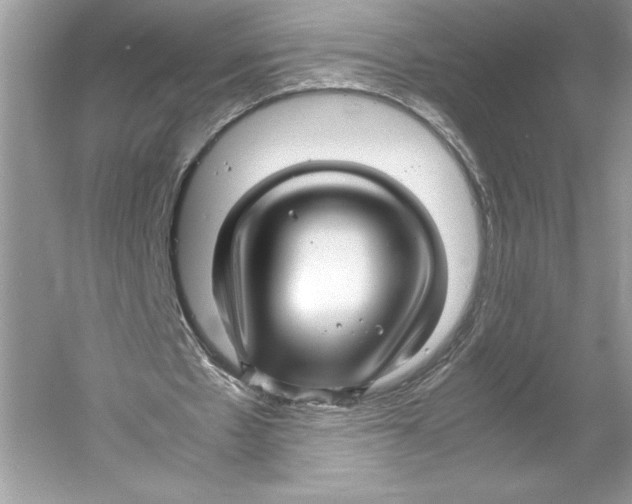 X0000052950481200508050926