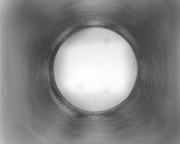 X0000052950482200508050926