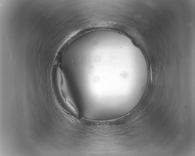 X0000052950483200508050926