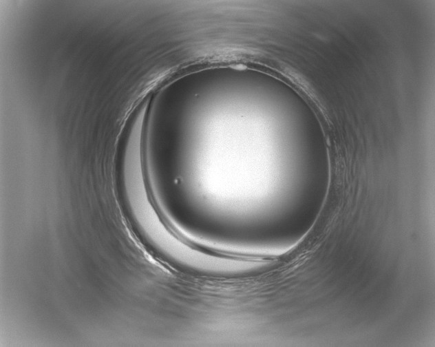 X0000052950485200508050926