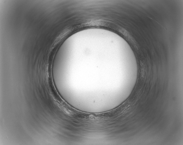 X0000052950486200508050926