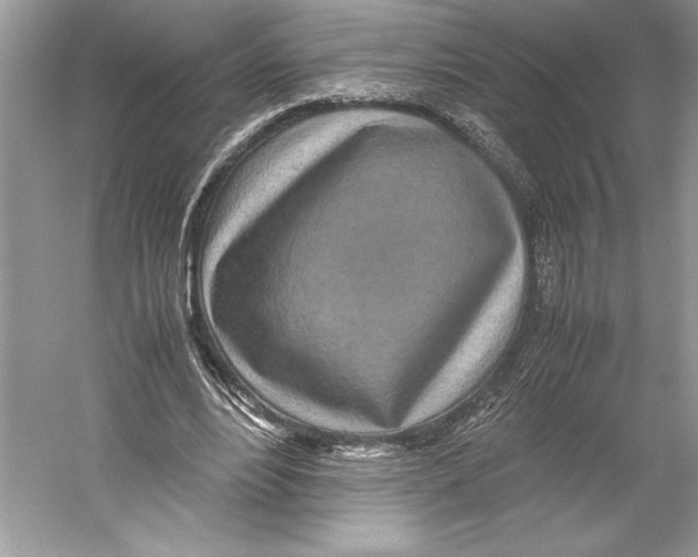 X0000052950488200508050926