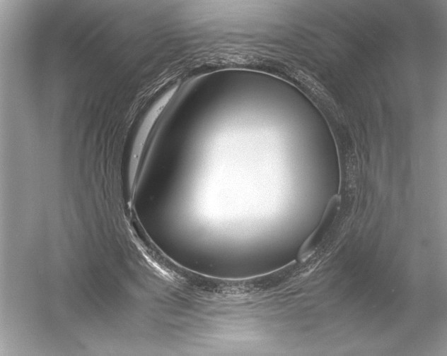 X0000052950489200508050926