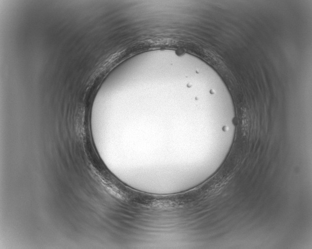 X0000052950490200508050926