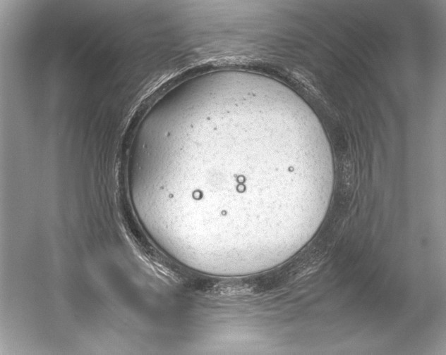 X0000052950491200508050926