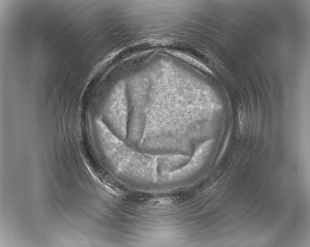 X0000052950492200508050926