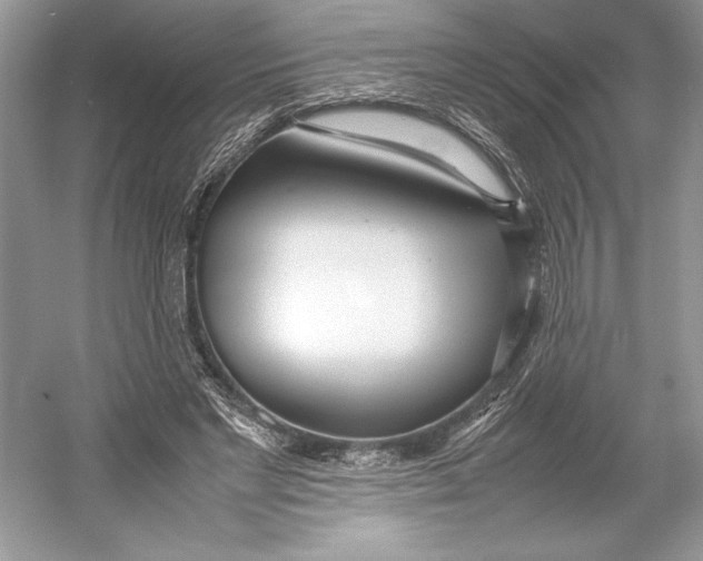 X0000052950493200508050926