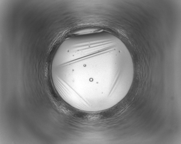 X0000052950495200508050926