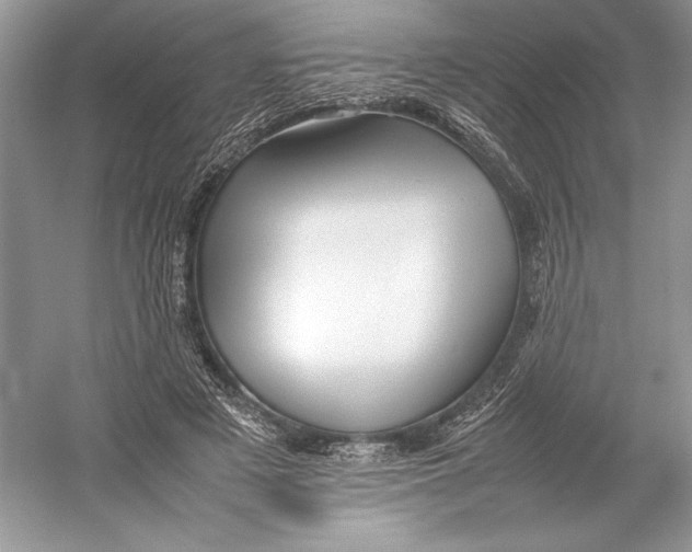 X0000052950497200508050926