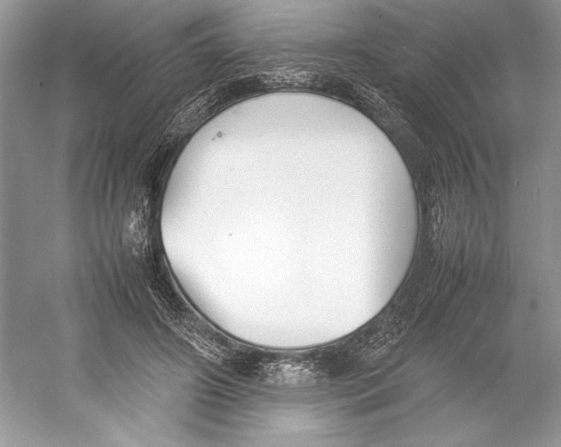 X0000052950498200508050926