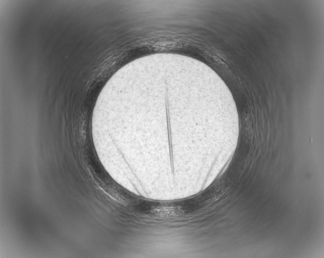 X0000052950499200508050926