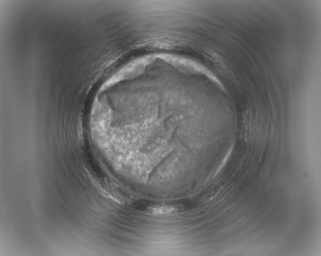 X0000052950500200508050926