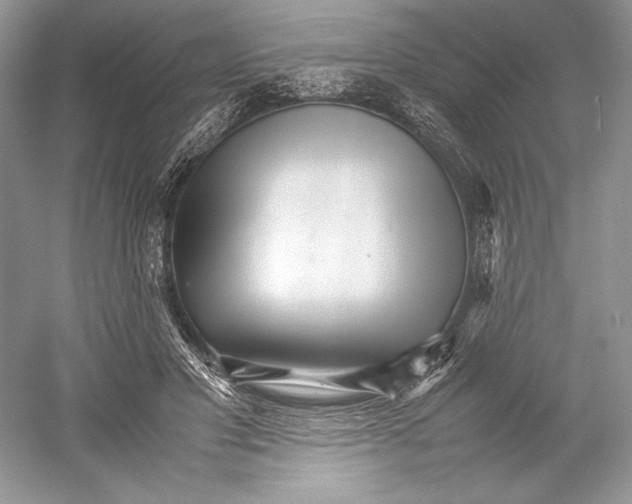 X0000052950501200508050926