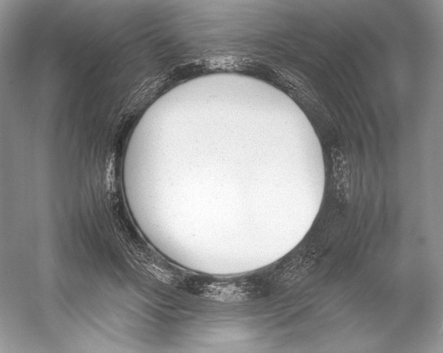 X0000052950502200508050926