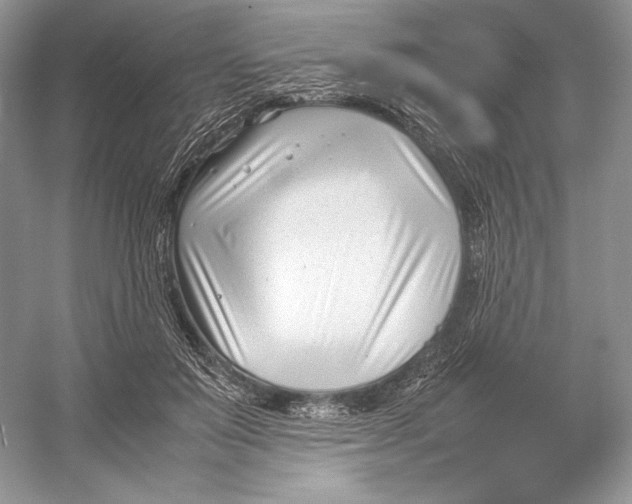 X0000052950503200508050926