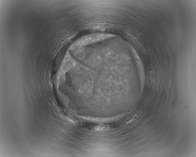 X0000052950504200508050926