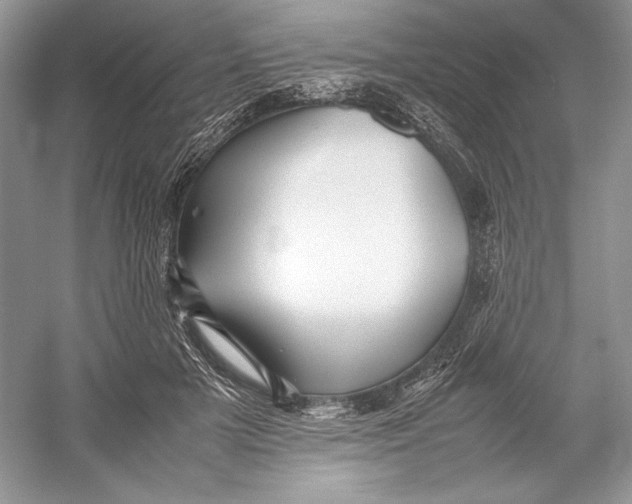 X0000052950505200508050926