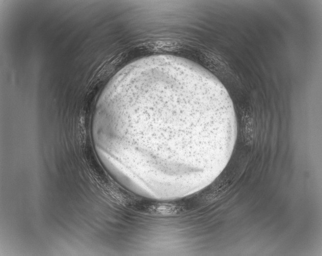 X0000052950506200508050926