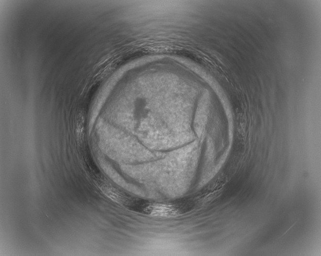 X0000052950507200508050925