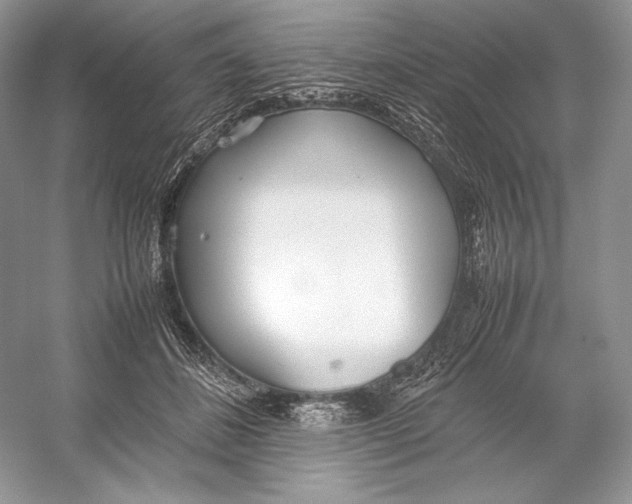 X0000052950508200508050925