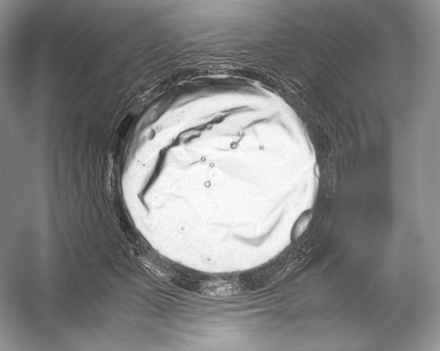 X0000052950511200508050925