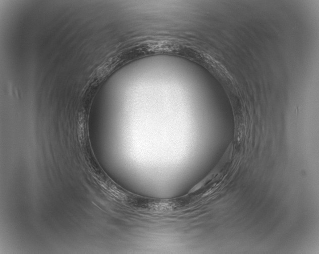 X0000052950513200508050925