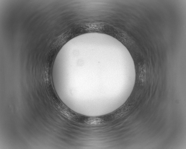 X0000052950514200508050925